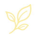 Organic-Focused